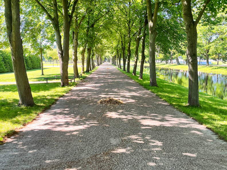 24-06-26 10-43-07 9918